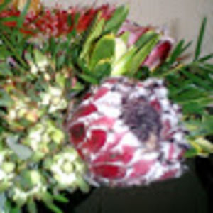 Meet your Posher, Roberta